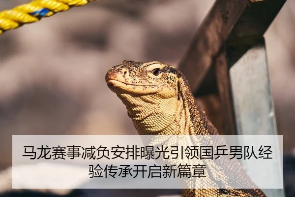 马龙赛事减负安排曝光引领国乒男队经验传承开启新篇章