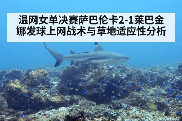 温网女单决赛萨巴伦卡2-1莱巴金娜发球上网战术与草地适应性分析