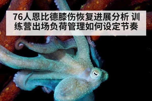 76人恩比德膝伤恢复进展分析 训练营出场负荷管理如何设定节奏