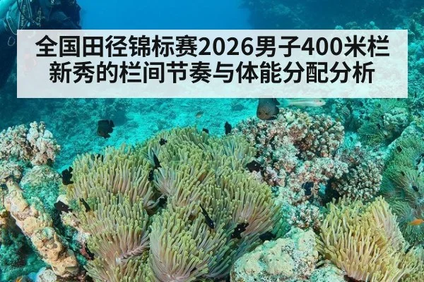 全国田径锦标赛2026男子400米栏新秀的栏间节奏与体能分配分析