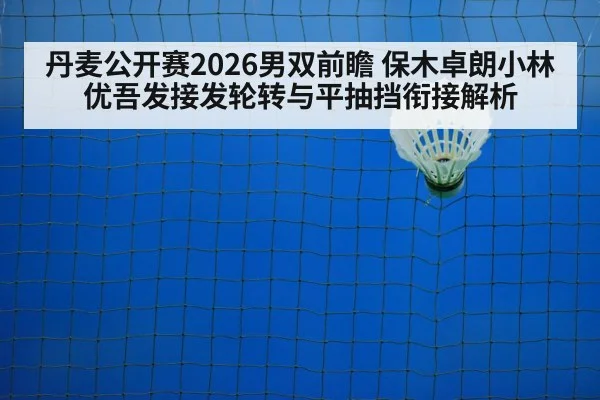 badminton shuttlecock net closeup